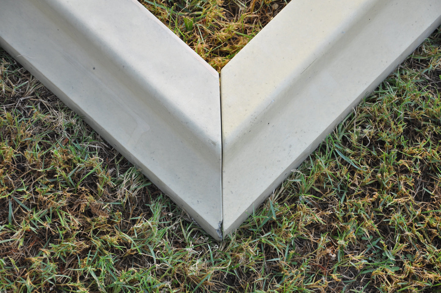 Tree border- Price by piece.