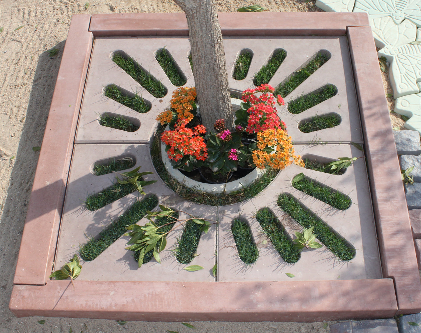 TREE COVER BORDER LINES : 4 pcs set