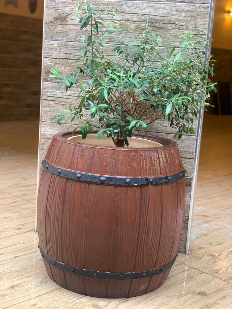 Drum Planter